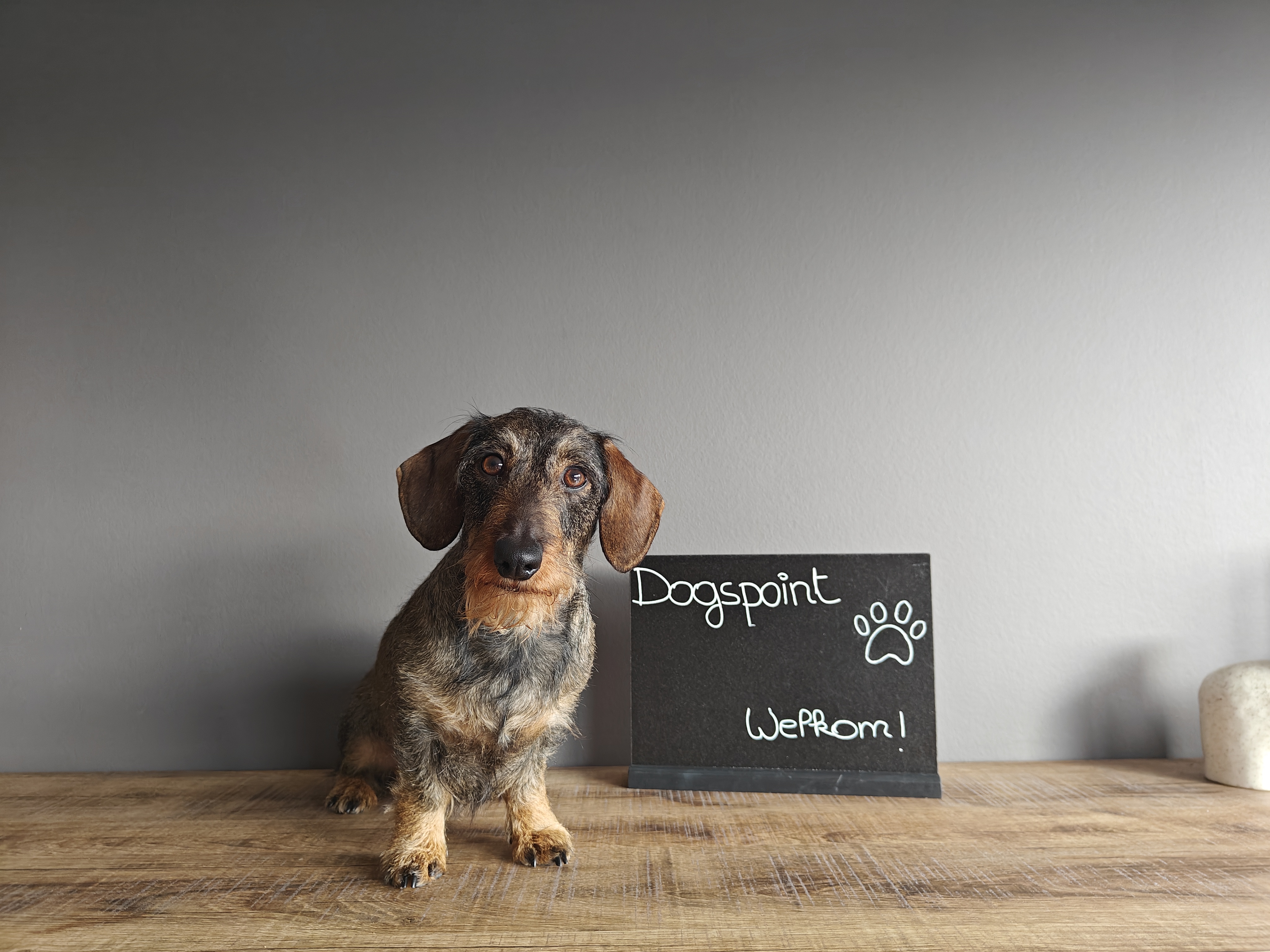 Welkom bij Dogspoint - Yana met Yoshi